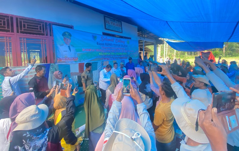 Dikira Hanya Tanam Bawang, Bupati Rusma Yul Anwar Juga Dikasih Surprise Ulang Tahun oleh&nbsp;Warganya